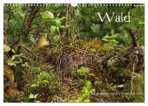 Wald (Wandkalender 2025 DIN A3 quer), CALVENDO Monatskalender - Werner Gruse