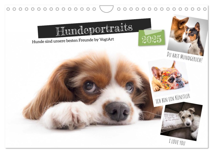 Hundeportraits, Hunde sind unsere besten Freunde by VogtArt (Wandkalender 2025 DIN A4 quer), CALVENDO Monatskalender - VogtArt VogtArt