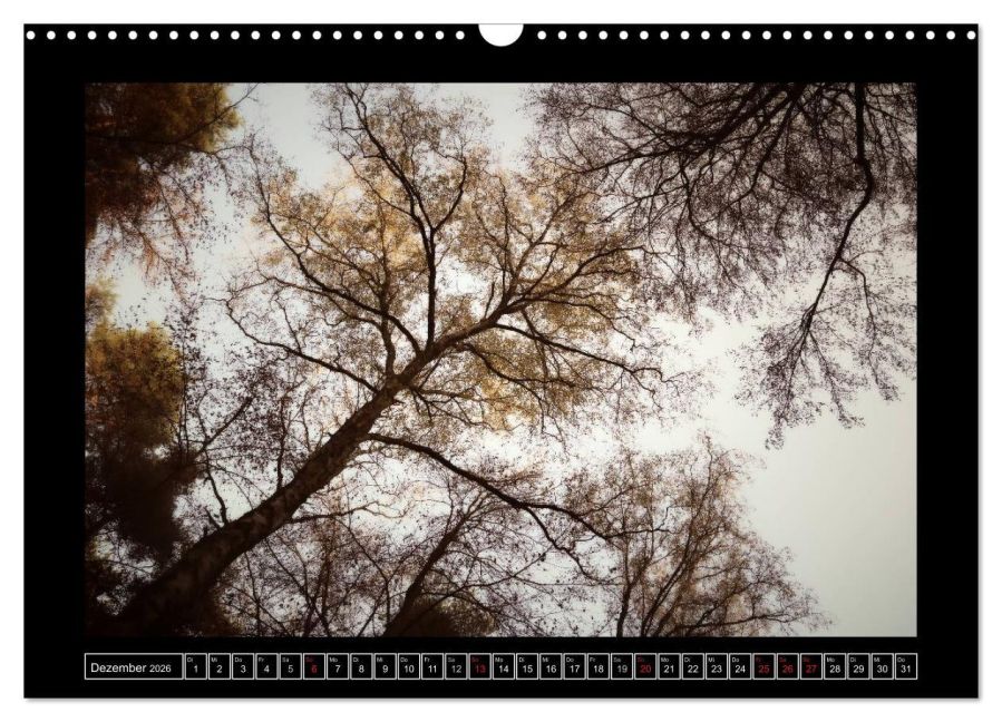 InsideView 4
