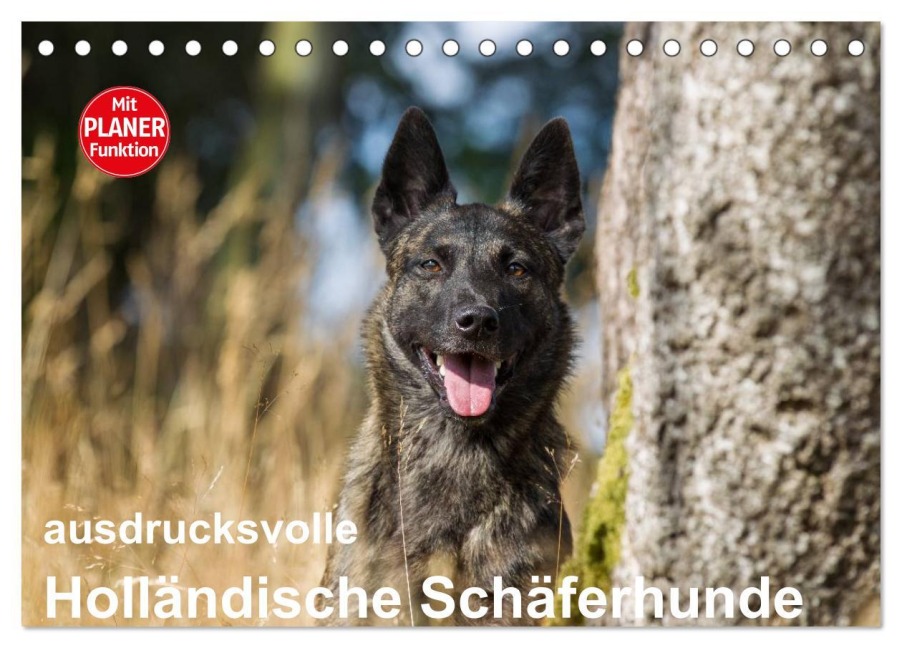 ausdrucksvolle Holländische Schäferhunde (Tischkalender 2026 DIN A5 quer), CALVENDO Monatskalender - Fotodesign Verena Scholze ausdrucksvolle Holländische Schäferhunde (Tischkalender 2026 DIN A5 quer), CALVENDO Monatskalender - Fotodesign Verena Scholze