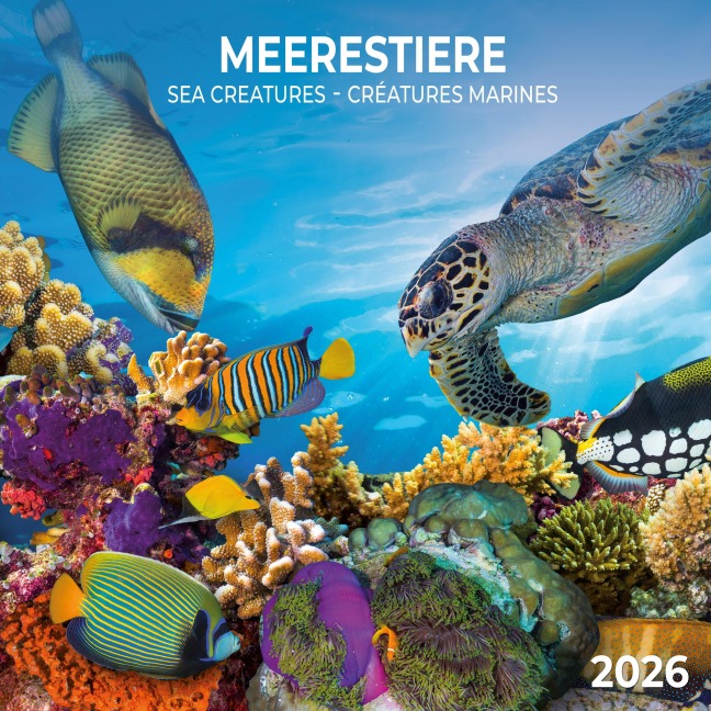 Meerestiere 2026 - 