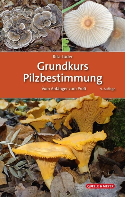 Grundkurs Pilzbestimmung - Rita Lüder