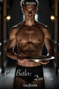 Cover-Bild zum Titel 'Gay Butler - Das Trio: Gay Erotik' von 'T. Hopkin'