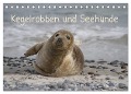 Kegelrobben und Seehunde (Tischkalender 2024 DIN A5 quer), CALVENDO Monatskalender - Antje Lindert-Rottke