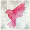 Cover-Bild zum Titel 'Big sky,little bird' von 'Plebeian Love'