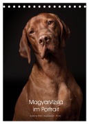 Magyar Vizsla im Portrait (Tischkalender 2026 DIN A5 hoch), CALVENDO Monatskalender - Susanne Stark Sugarsweet - Photo