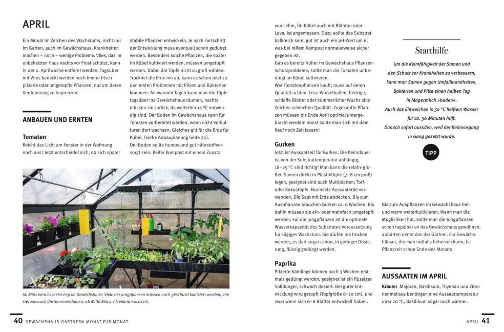 InsideView 6