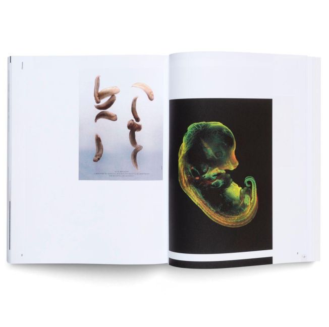 InsideView 6