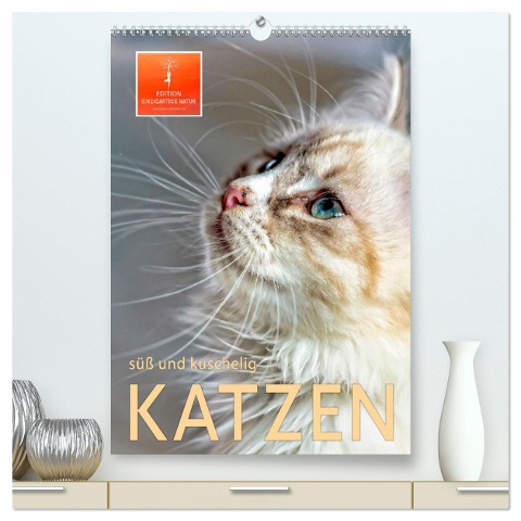 Katzen - süß und kuschelig (hochwertiger Premium Wandkalender 2025 DIN A2 hoch), Kunstdruck in Hochglanz - Peter Roder