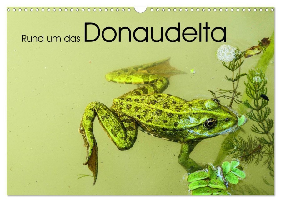 Rund um das Donaudelta (Wandkalender 2026 DIN A3 quer), CALVENDO Monatskalender - Gabi Hampe