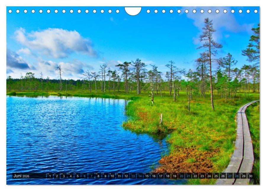 InsideView 11