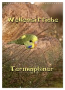 Cover-Bild zum Titel 'Wellensittiche Terminplaner (Wandkalender 2027 DIN A3 hoch), CALVENDO Monatskalender' von 'Martina Berg'