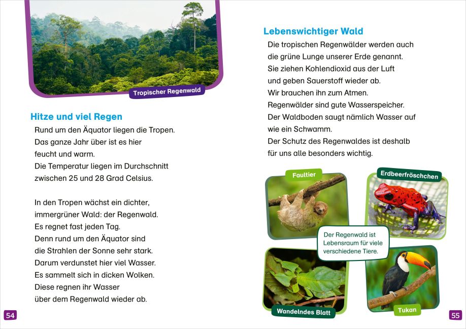 InsideView 3