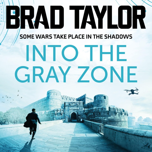 Into the Gray Zone - Brad Taylor