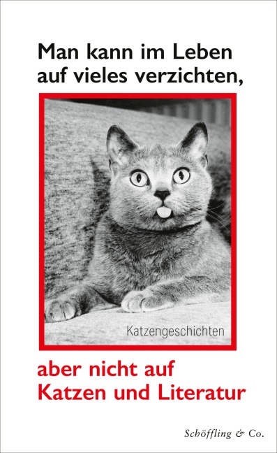 Man kann im Leben auf vieles verzichten, aber nicht auf Katzen und Literatur - 