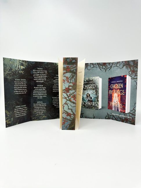 InsideView 6