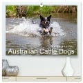 Spaziergang am See Australian Cattle Dogs (hochwertiger Premium Wandkalender 2025 DIN A2 quer), Kunstdruck in Hochglanz - Fotodesign Verena Scholze