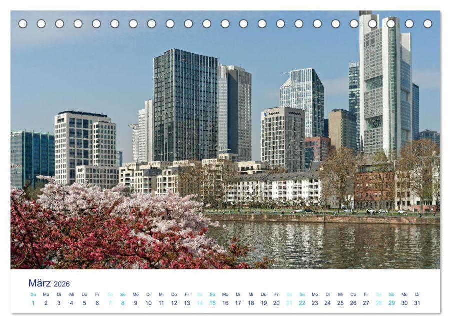 InsideView 8