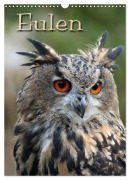 Cover-Bild zum Titel 'Eulen (Wandkalender 2025 DIN A3 hoch), CALVENDO Monatskalender' von 'Pferdografen. de Martina Berg Antje Lindert-Rottke'