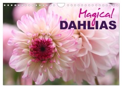 Cover-Bild zum Titel 'Magical Dahlias (Wall Calendar 2026 DIN A4 landscape), CALVENDO 12 Month Wall Calendar' von 'Gisela Kruse'