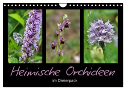 Heimische Orchideen im Dreierpack (Wandkalender 2025 DIN A4 quer), CALVENDO Monatskalender - Sabine Löwer