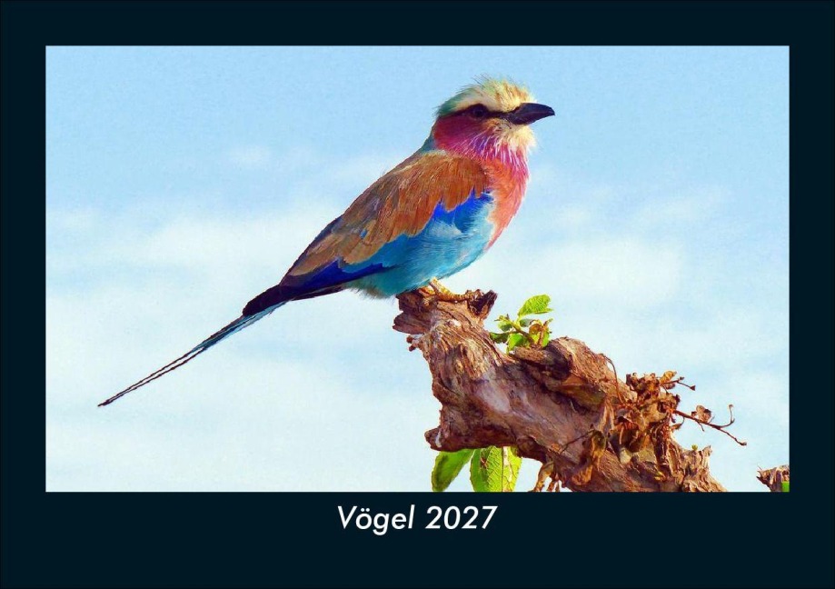 Vögel 2027 Fotokalender DIN A5 - Tobias Schmitt, Kevin Heber