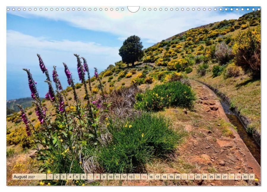 InsideView 13