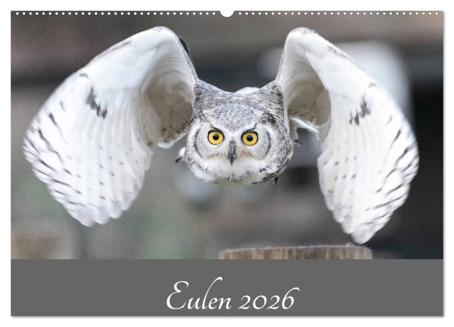 Eulen 2026 (Wandkalender 2026 DIN A2 quer), CALVENDO Monatskalender - Jürgen Trimbach