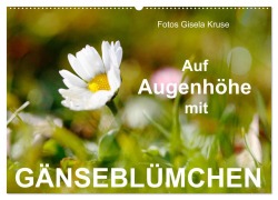 Auf Augenhöhe mit Gänseblümchen (Wandkalender 2025 DIN A2 quer), CALVENDO Monatskalender - Gisela Kruse