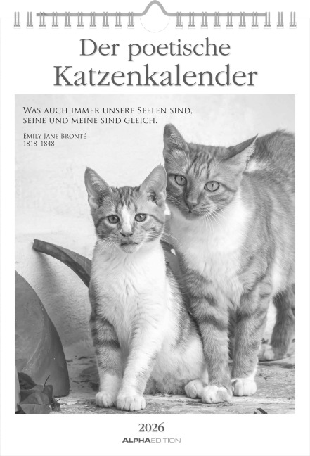 Der poetische Katzenkalender im Format 21 x 29,7 - 