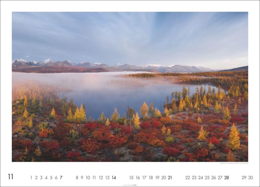 InsideView 11
