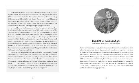 InsideView 5