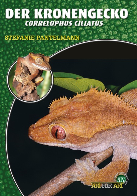 Der Kronengecko - Stefanie Pantelmann