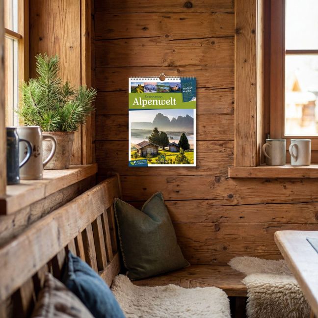 InsideView 58