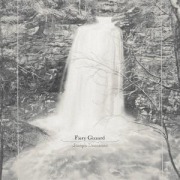 Cover-Bild zum Titel 'Fiery Gizzard' von 'Joseph Decosimo'