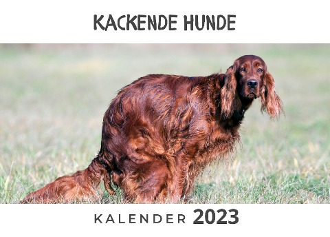 Kackende Hunde - Tim Fröhlich