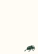 Cover-Bild zum Titel 'Rhinoceros Beetle Notepad' von 'McNally Editions'