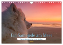 Cover-Bild zum Titel 'Ein Samojede am Meer (Wandkalender 2026 DIN A4 quer), CALVENDO Monatskalender' von 'Bo Valentino'
