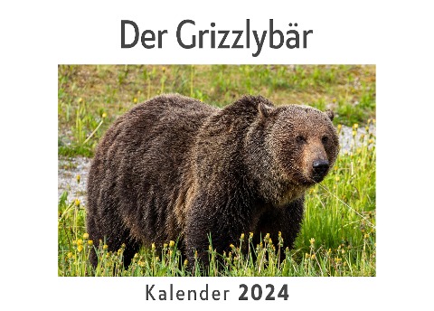 Der Grizzlybär (Wandkalender 2024, Kalender DIN A4 quer, Monatskalender im Querformat mit Kalendarium, Das perfekte Geschenk) - Anna Müller