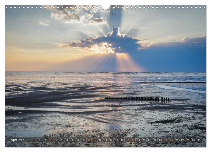 InsideView 9