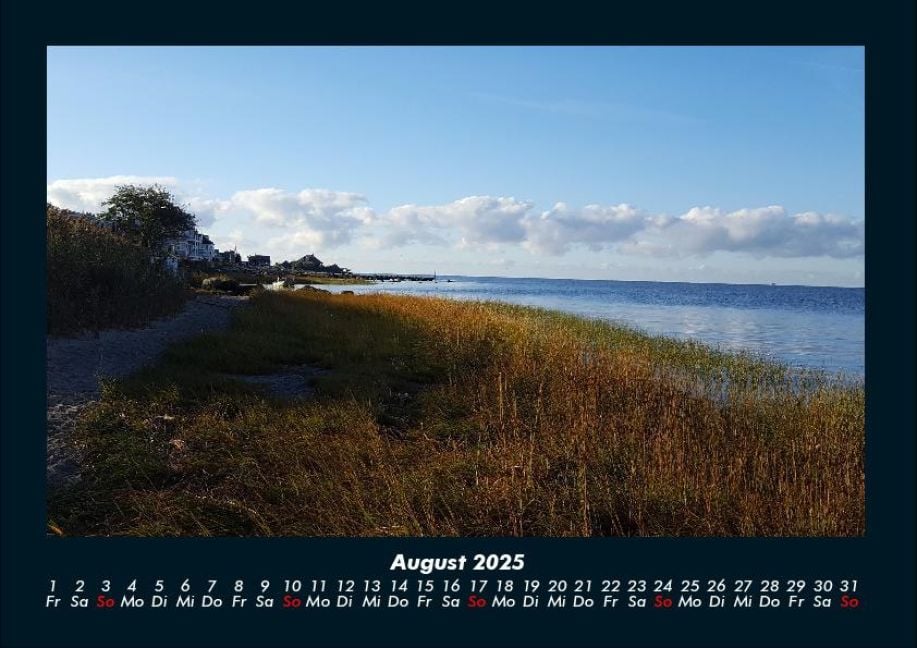 InsideView 12