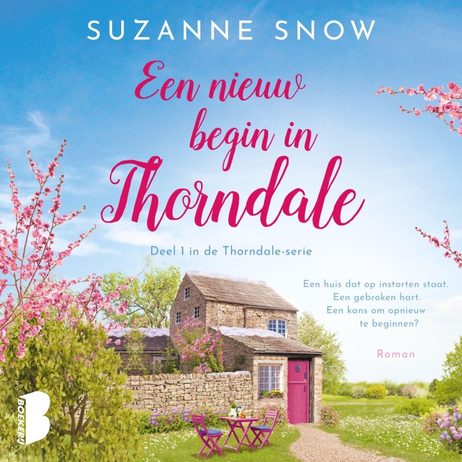 Een nieuw begin in Thorndale - Suzanne Snow