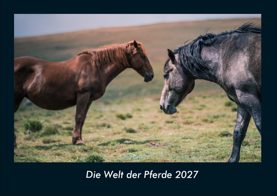 Die Welt der Pferde 2027 Fotokalender DIN A4 - Tobias Schmitt, Kevin Heber