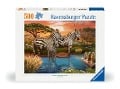 Cover-Bild zum Titel 'Erwachsenenpuzzle 500 Teile - Zebras am Wasserloch' von ''