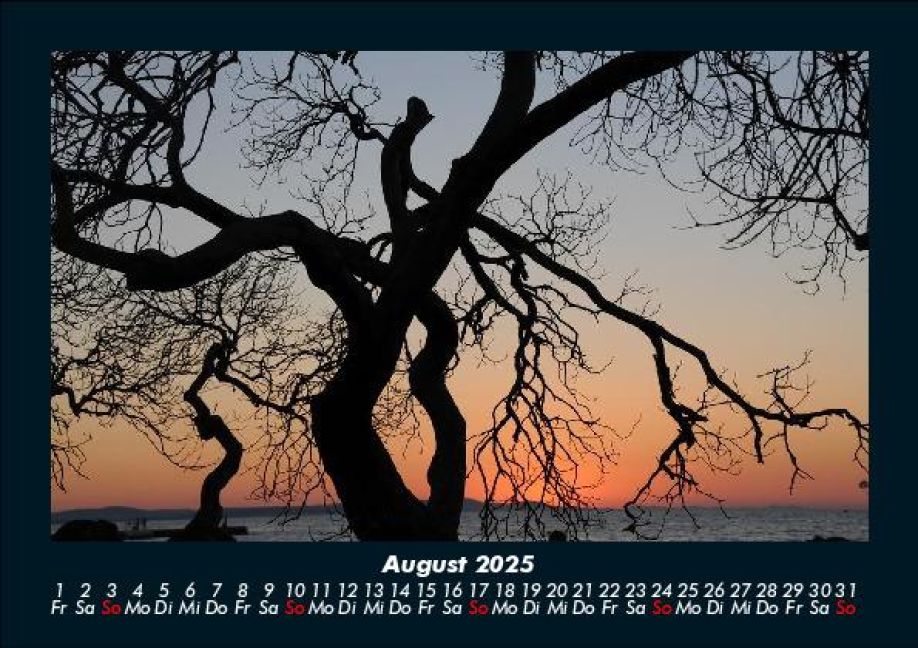 InsideView 12