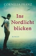 Cover-Bild zum Titel 'Ins Nordlicht blicken' von 'Cornelia Franz'