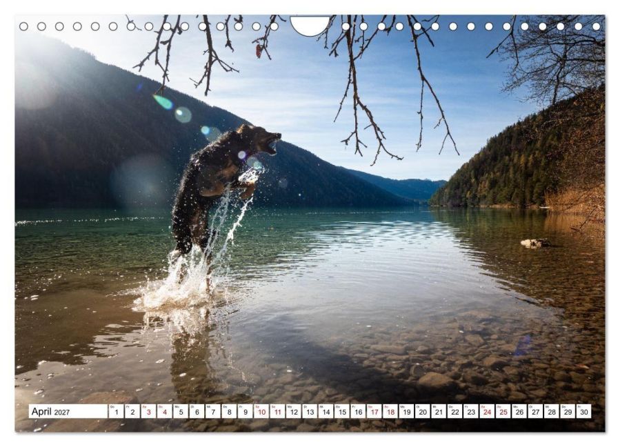 InsideView 9