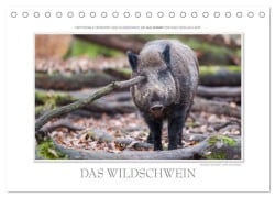 Emotionale Momente: Das Wildschwein. / CH-Version (Tischkalender 2026 DIN A5 quer), CALVENDO Monatskalender - Ingo Gerlach GDT