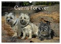Cairns Forever (Wandkalender 2025 DIN A3 quer), CALVENDO Monatskalender - Homwico Homwico