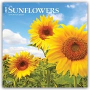Cover-Bild zum Titel 'Sunflowers - Sonnenblumen 2027 - 16-Monatskalender' von 'Browntrout Publishers'